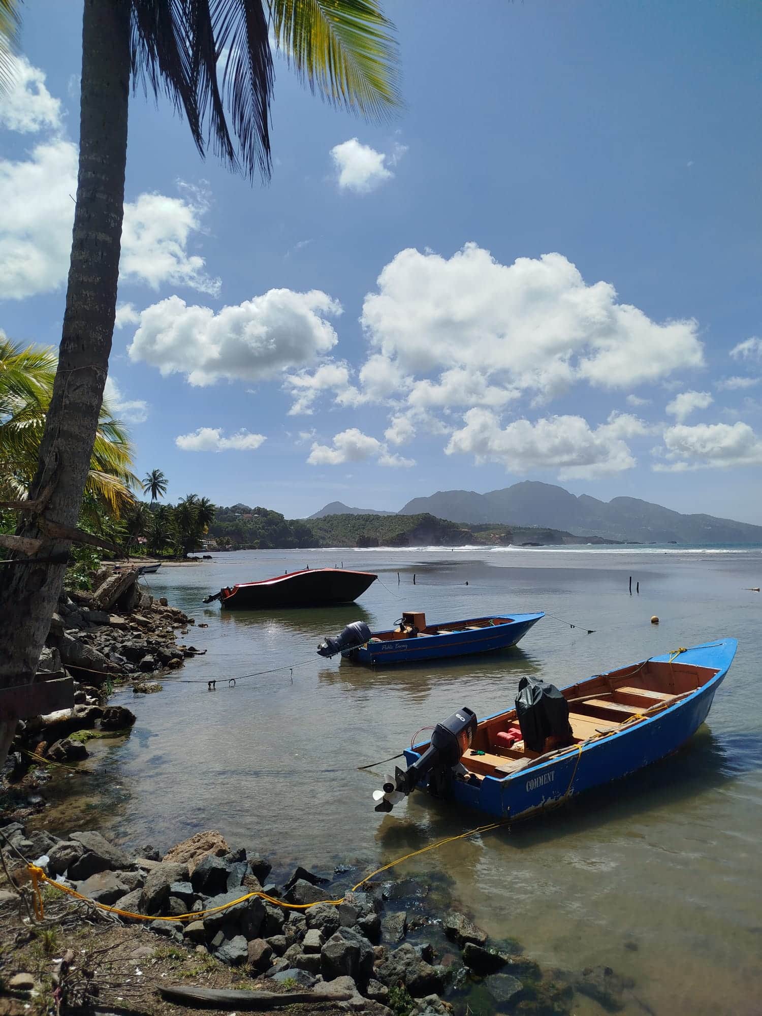 toucari bateaux
